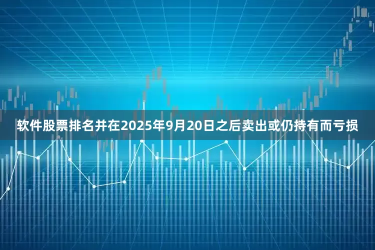 软件股票排名并在2025年9月20日之后卖出或仍持有而亏损